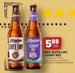 Stokrotka Piwo Amber Czarny Bez oferta