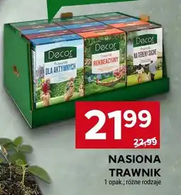 Stokrotka Nasiona trawnik dla aktywnych Decor oferta