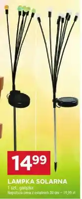 Stokrotka Lampka solarna gałązka oferta