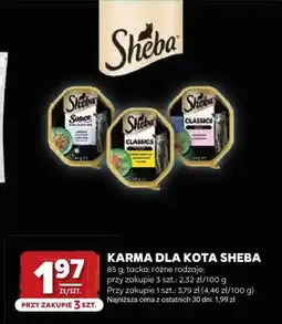 Stokrotka Karma dla kota Sheba oferta