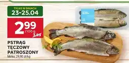 Stokrotka Pstrąg tęczowy patroszony Mirko oferta