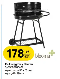 Castorama Grill Blooma oferta