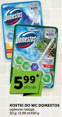 ABC Kostki do WC Domestos oferta