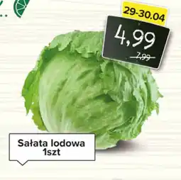 Spiżarnia Smakosza Sałata lodowa oferta