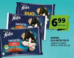 ABC Karma dla kota Felix wybrane rodzaje oferta