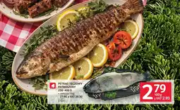 Selgros Pstrąg tęczowy oferta