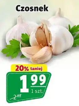 Prim Market Czosnek oferta