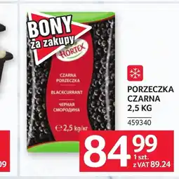 Selgros Czarna porzeczka Hortex oferta