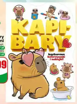 Dino Kolorowanka kapibary z naklejkami oferta
