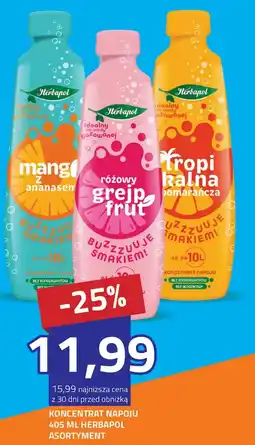 Hildebrandt Koncentrat napoju herbapol asortyment oferta
