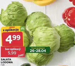 Stokrotka SAŁATA LODOWA 1 szt oferta