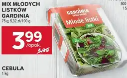 Stokrotka MIX MŁODYCH LISTKÓW oferta