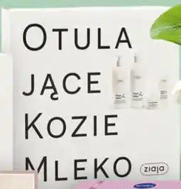 Stokrotka Ziaja Otulające Kozie Mleko oferta