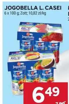 Stokrotka JOGOBELLA L. CASEI oferta