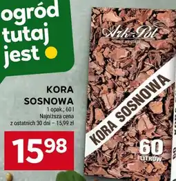 Stokrotka Kora sosnowa oferta