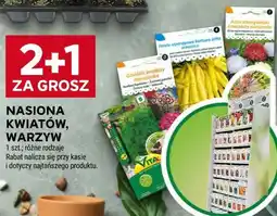 Stokrotka NASIONA KWIATÓW, WARZYW oferta