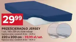 Stokrotka PRZEŚCIERADŁO JERSEY oferta