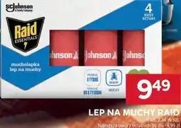 Stokrotka Lep na muchy RAID oferta