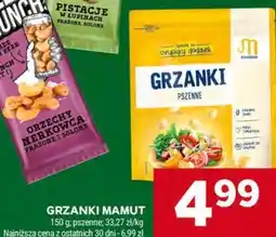 Stokrotka GRZANKI MAMUT oferta