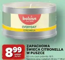 Stokrotka ZAPACHOWA ŚWIECA CITRONELLA W PUSZCE oferta