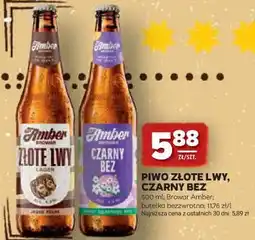 Stokrotka PIWO ZŁOTE LWY , CZARNY BEZ oferta