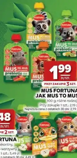 Stokrotka MUS FORTUNA JAK MUS TO MUS oferta