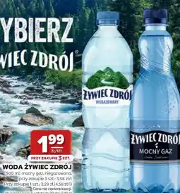 Stokrotka WODA ŻYWIEC ZDRÓJ oferta