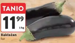 Intermarche Bakłażan oferta