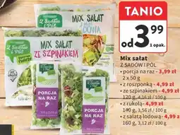 Intermarche Mix sałat oferta