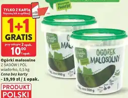 Intermarche Ogórki małosolne Z SADÓW I PÓL wiaderko oferta