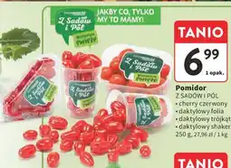 Intermarche Pomidor oferta