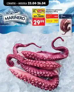Biedronka Ośmiornica gotowana Marinero oferta