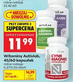 Biedronka Kolagen Activlab oferta