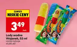 Biedronka Lody wodne Wojanek oferta