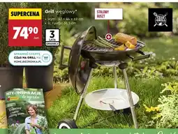 Biedronka Grill węglowy stalowy ruszt 43x44x69cm oferta