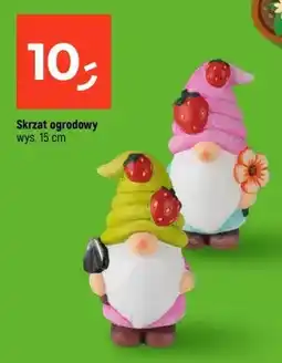 Dealz Skrzat ogrodowy oferta