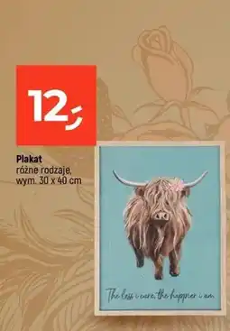 Dealz Plakat 30x40cm oferta