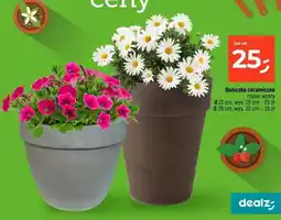Dealz Doniczka ceramiczna Ø26cm wys.22cm oferta