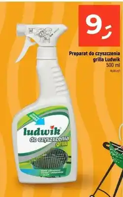 Dealz Preparat do czyszczenia grilla Ludwik oferta