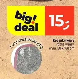 Dealz Koc piknikowy z warstwą izolacyjną oferta