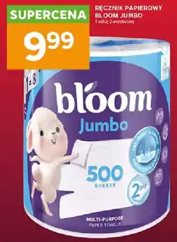 Stokrotka Express Ręcznik papierowy supercena bloom jumbo oferta
