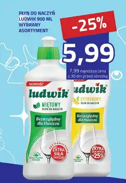 Hildebrandt Płyn do naczyń ludwik oferta