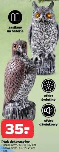 Netto Ptak dekoracyjny orzeł, wym. 18 x 18 x 42 cm sowa, wym. 41 x 17 x 21 cm 1 szt oferta