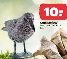 Netto Kruk stojący wym. 31 x 13 x 23 cm 1 szt oferta