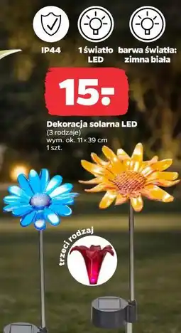 Netto Dekoracja solarna LED oferta