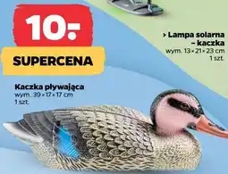 Netto Kaczka pływająca oferta