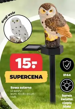 Netto Sowa solarna (2 wzory) wym. 10 x 8 x 44 cm 1 szt oferta