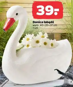 Netto Donica łabędź oferta