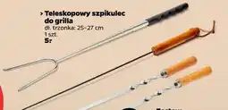 Netto Teleskopowy szpikulec do grilla oferta