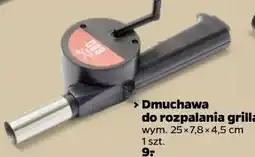 Netto Dmuchawa do rozpalania grilla oferta